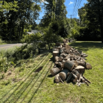 Tree Removal Company